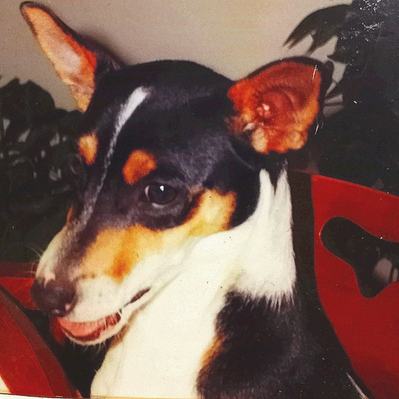 Shoes, Shoes, SHOES!! - Picture 1 of 1